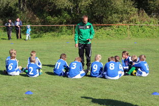 开云官网-中国足球年度战术视频分析内容频次统计，中国足球战术风格