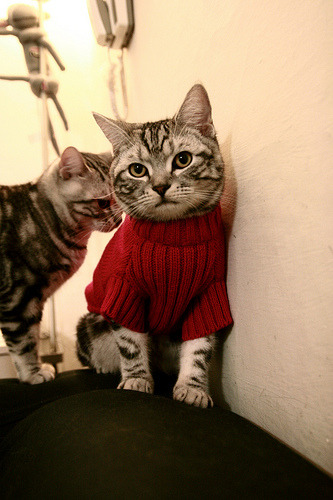 吉尔吉斯斯坦男篮在国际赛事中崭露头角,展现成长