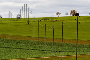 开云体育官网登入-中国足球国家队强化中场控制力和调度能力，中国足球管理