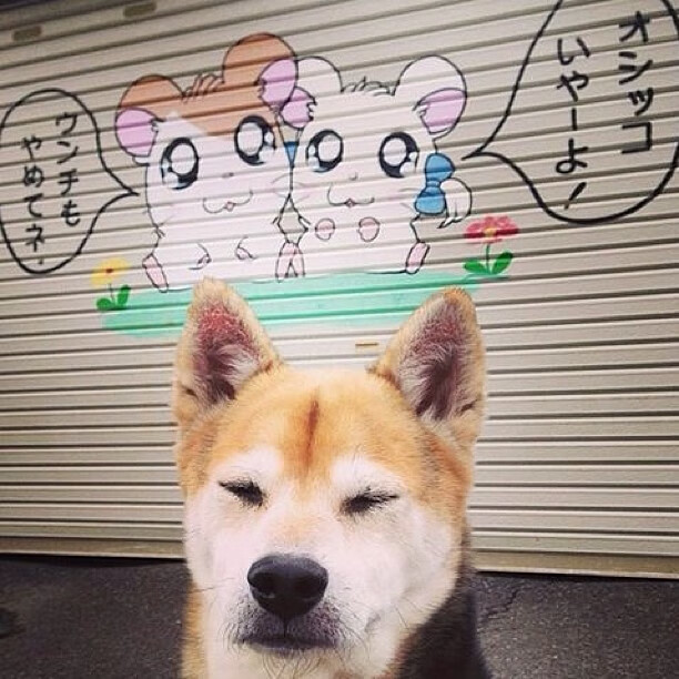 中国足球青训基地管理体系完善,中国足球青训中心